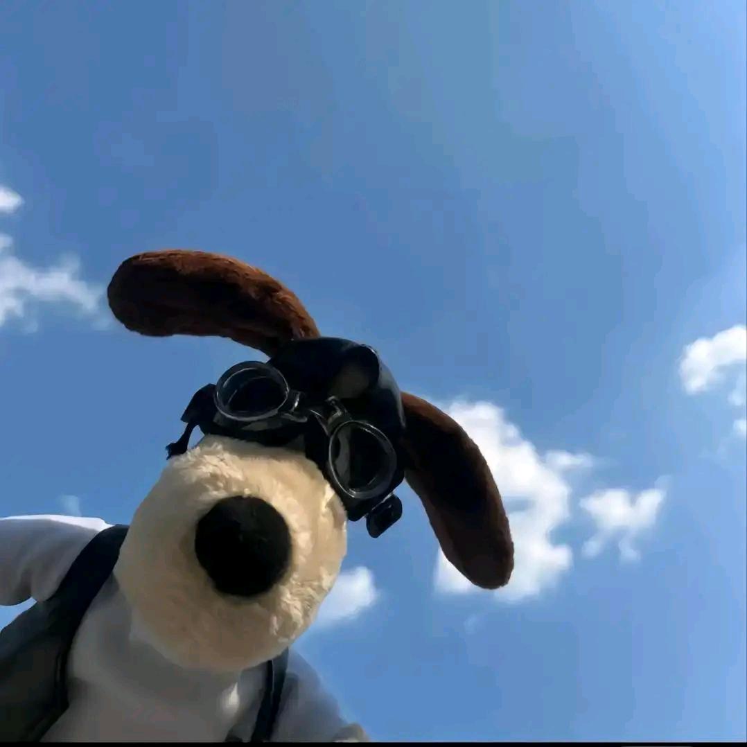 Cc