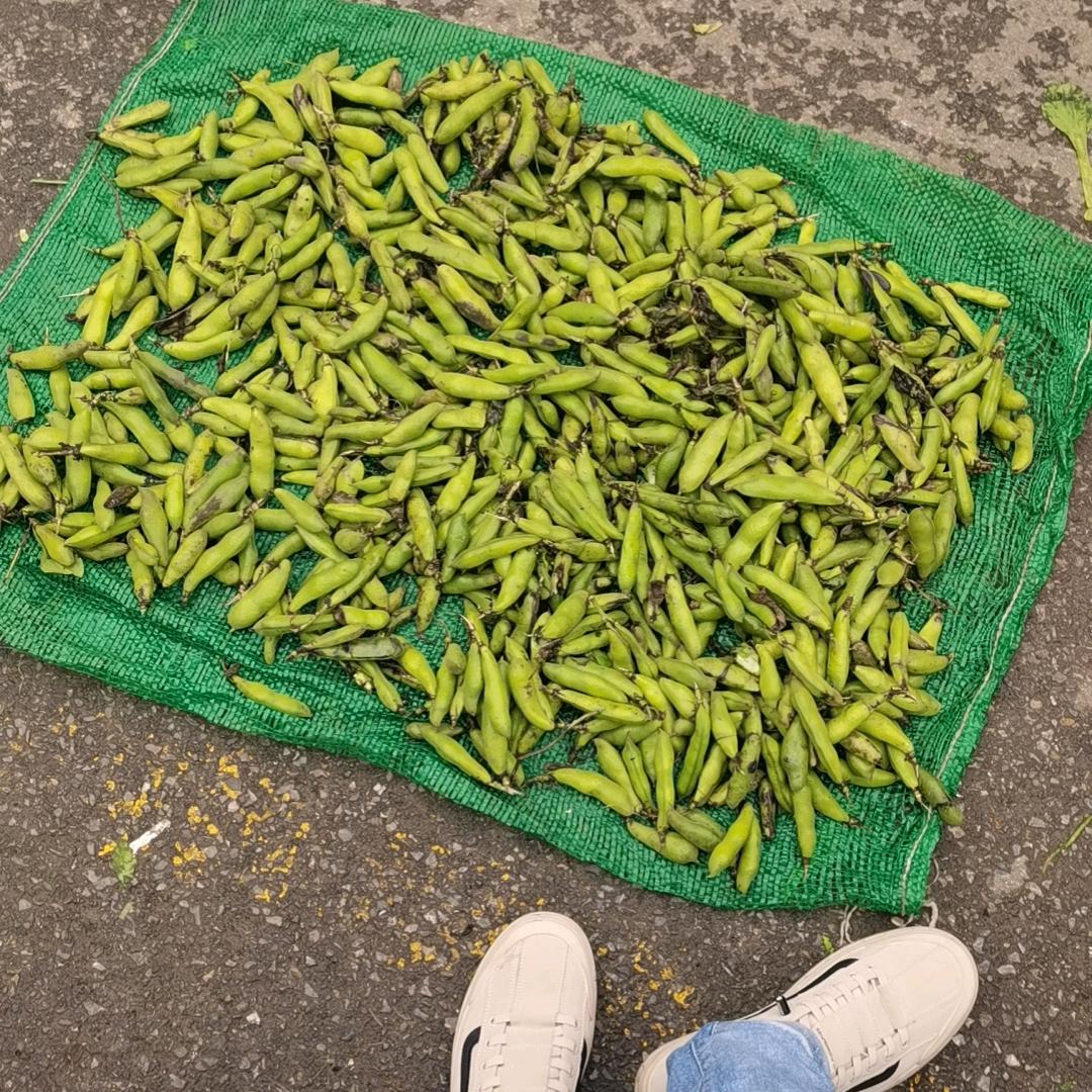 一爱难求