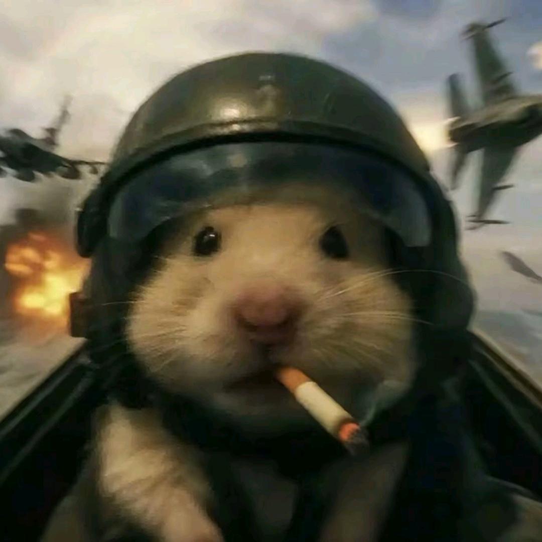 乱7⃣️8⃣️糟.