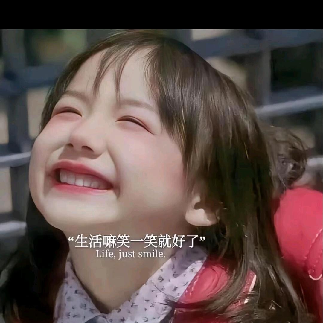 养只猫（JOKER）