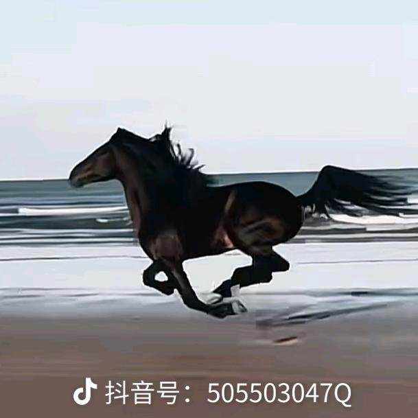 山的那边不一定是山
