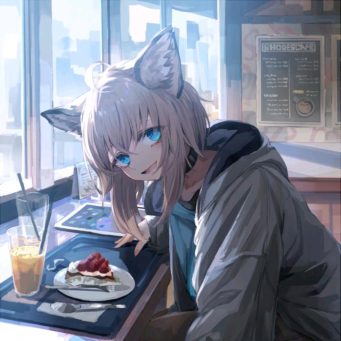 机智波