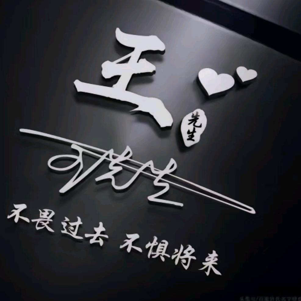 鹰胆鸽魂