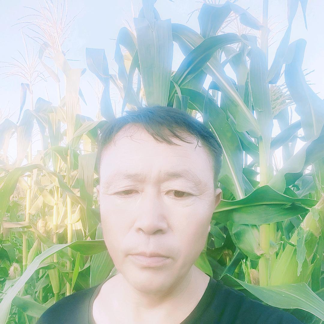 利哥百货