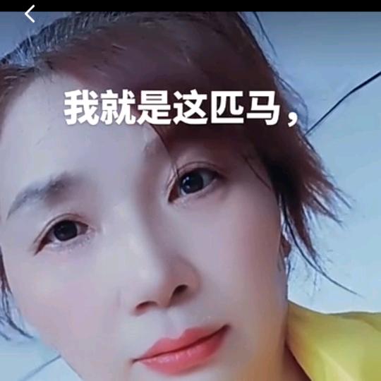 不问红尘