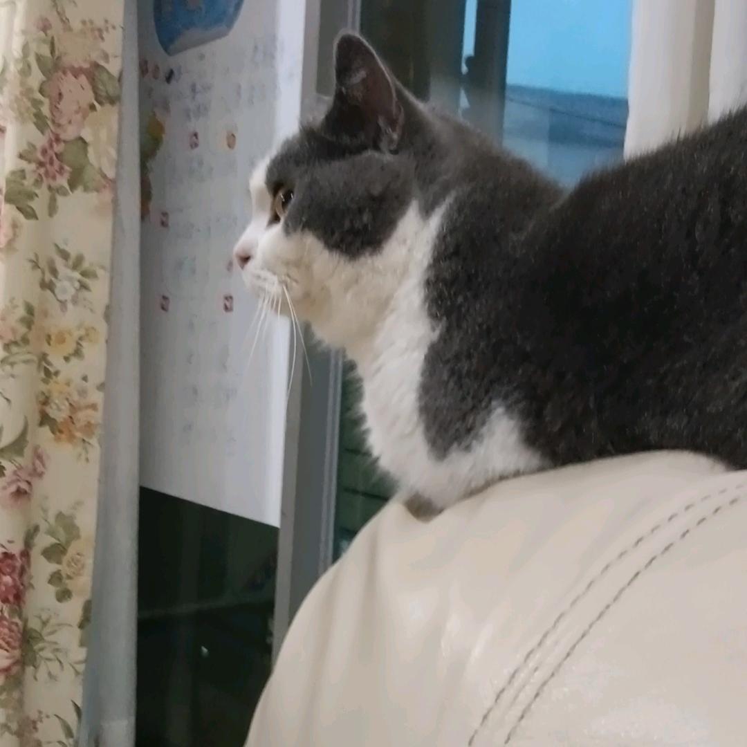 醉梦人生