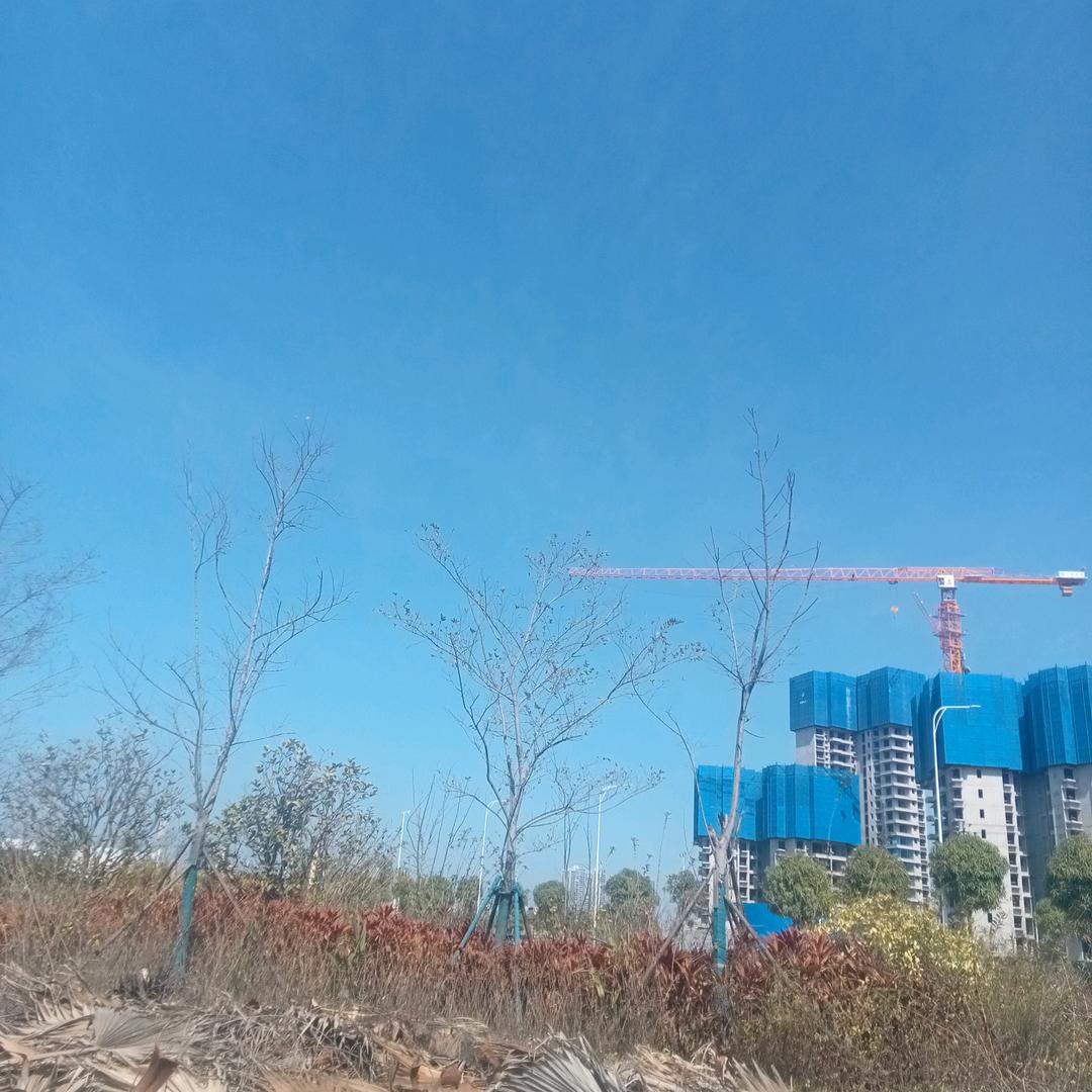 小黄同学呀