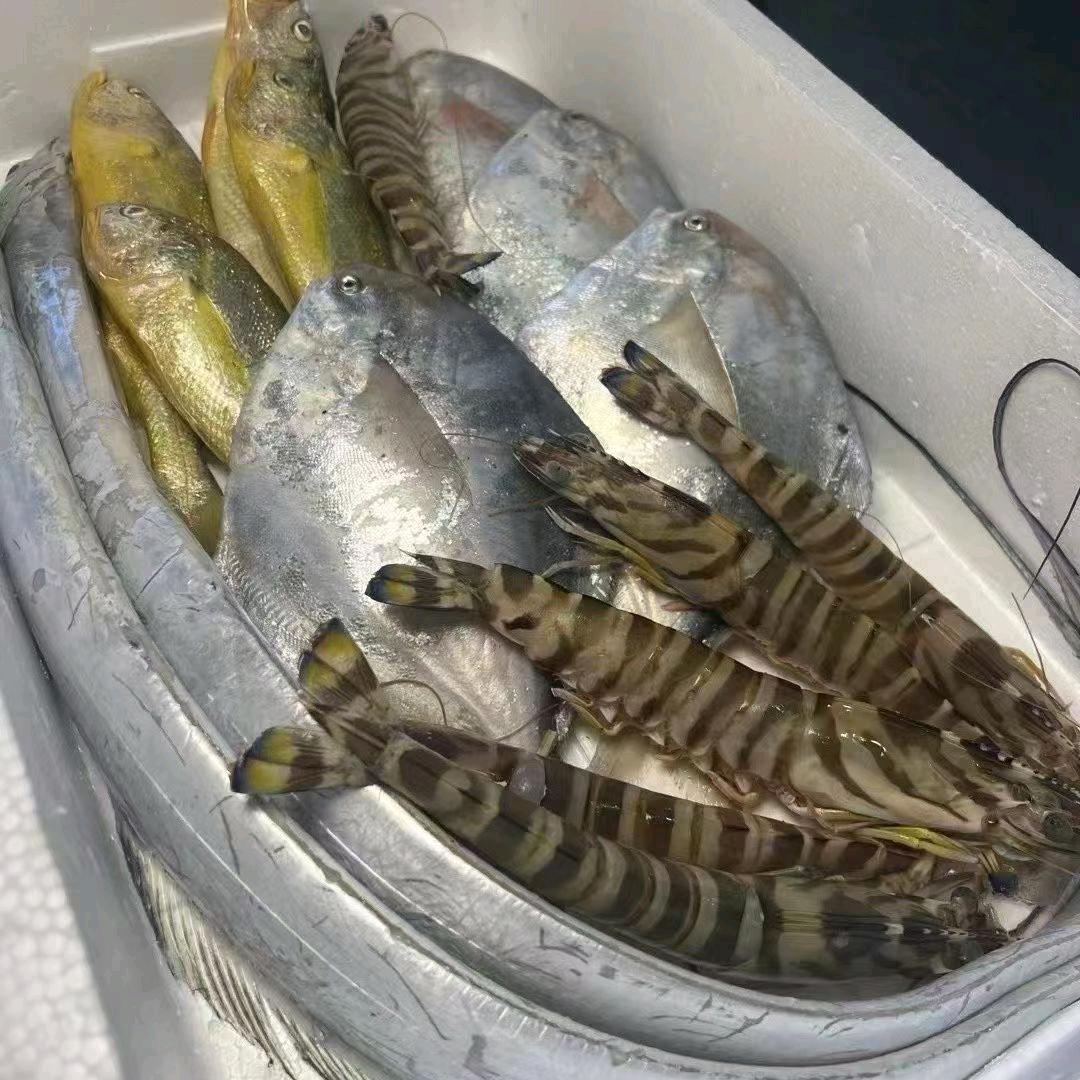 总是被忽略。