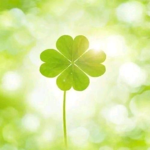 🌈平安喜乐🌸