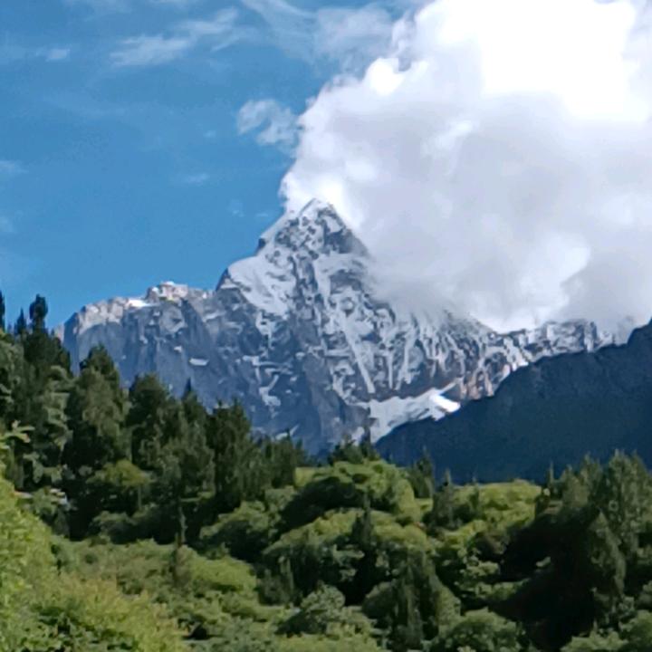 专车司机