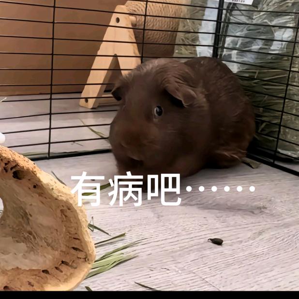 75岁老头拄拐打人