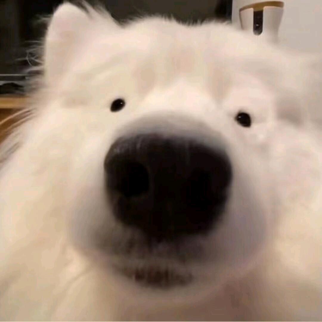 冰阔落