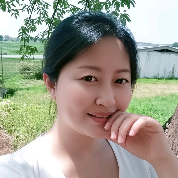 望创领网络科技