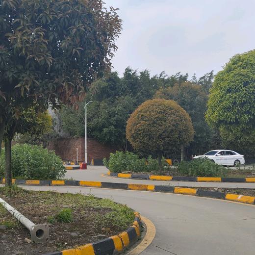 学车有困难找夏教练