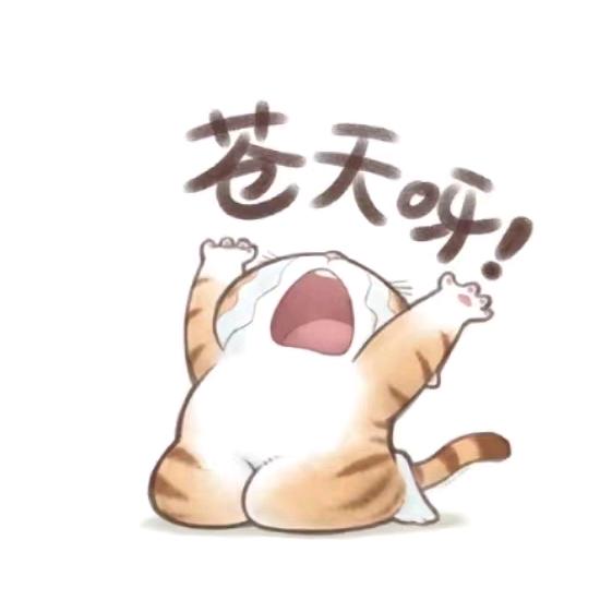 主播对象