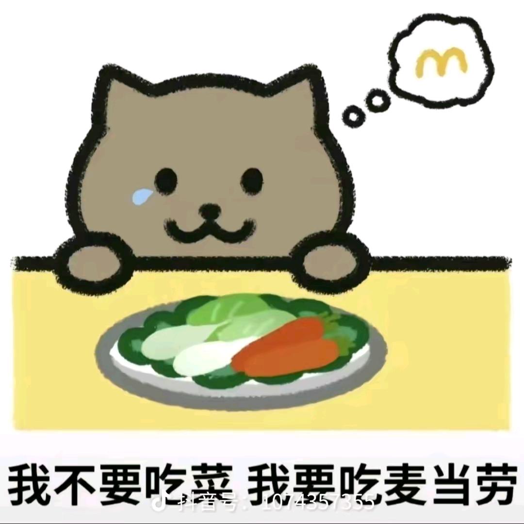 迷茫的狗狗