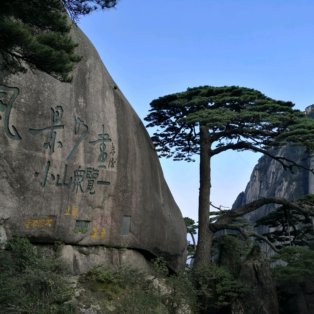 辉0598