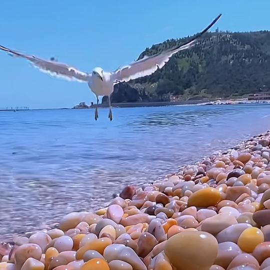 函烁