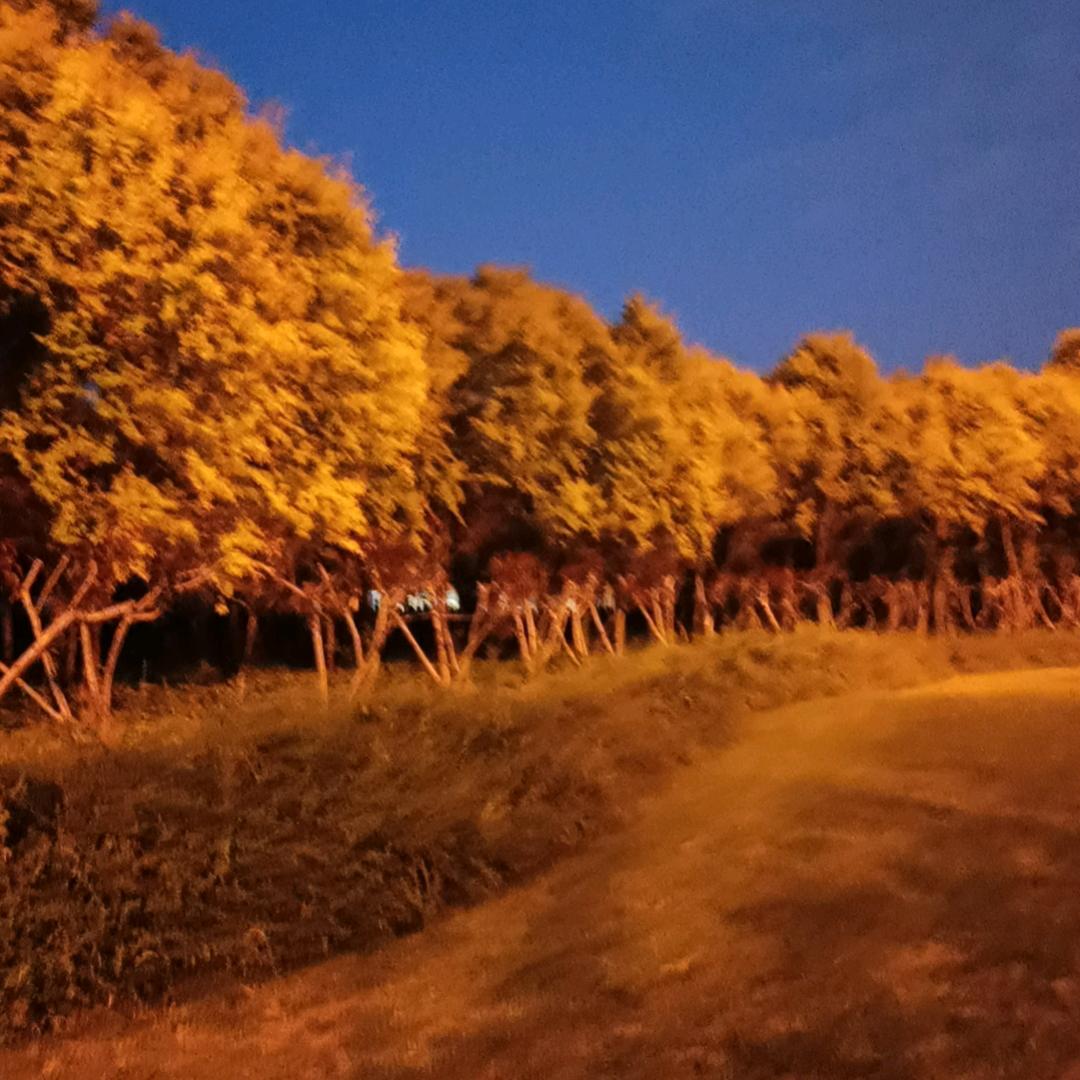 爱上你那么一丢丢