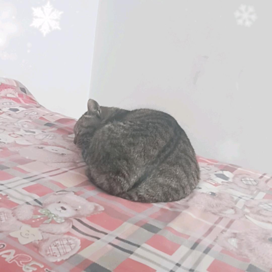 前大人