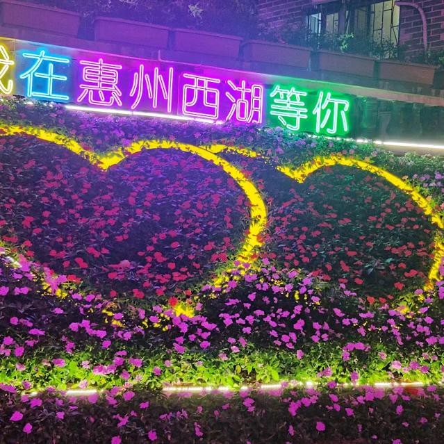 看透世界