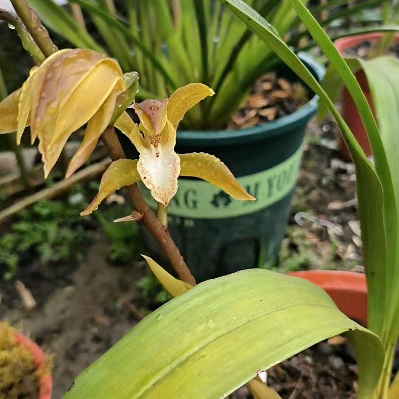 奔四十岁的男人