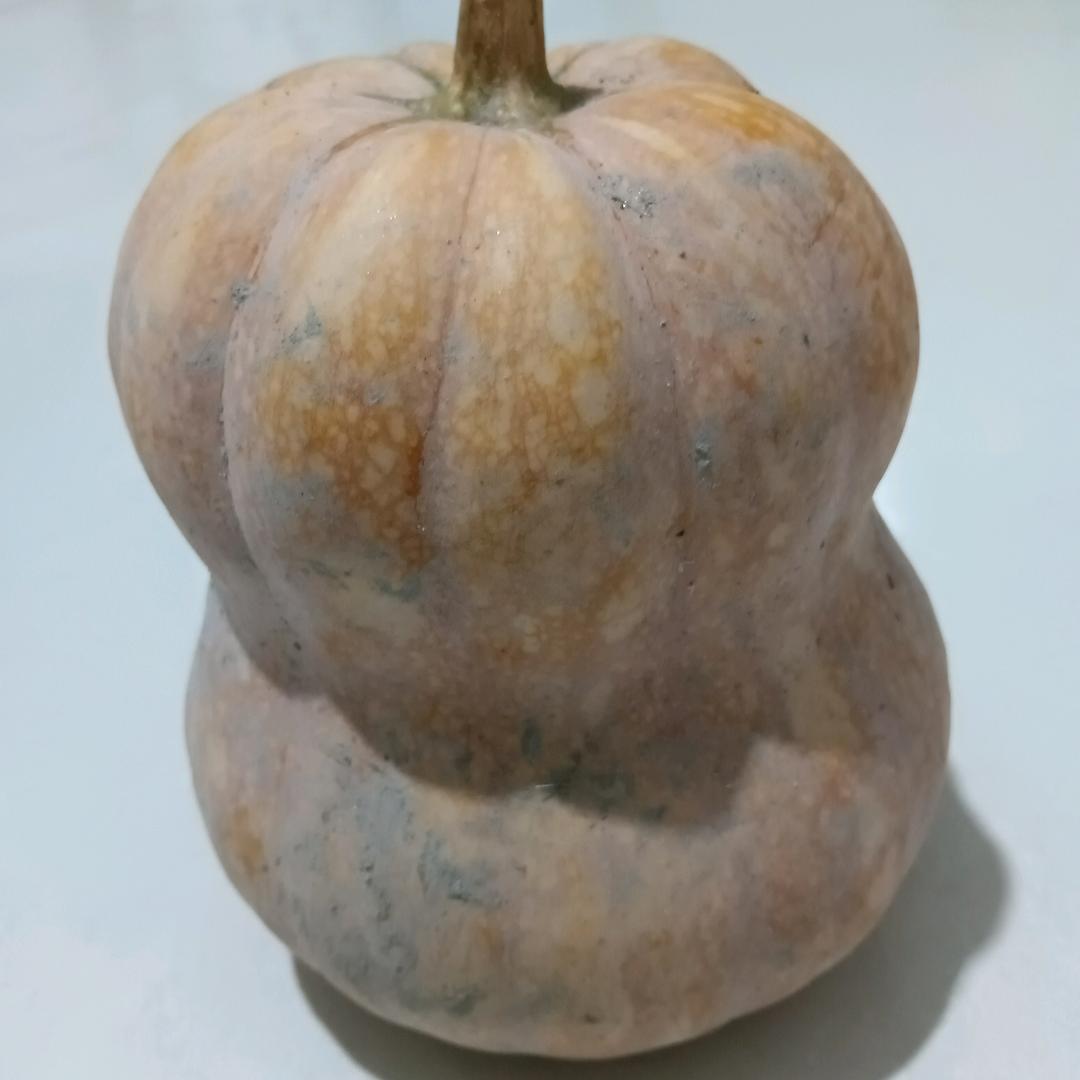 幸福一家
