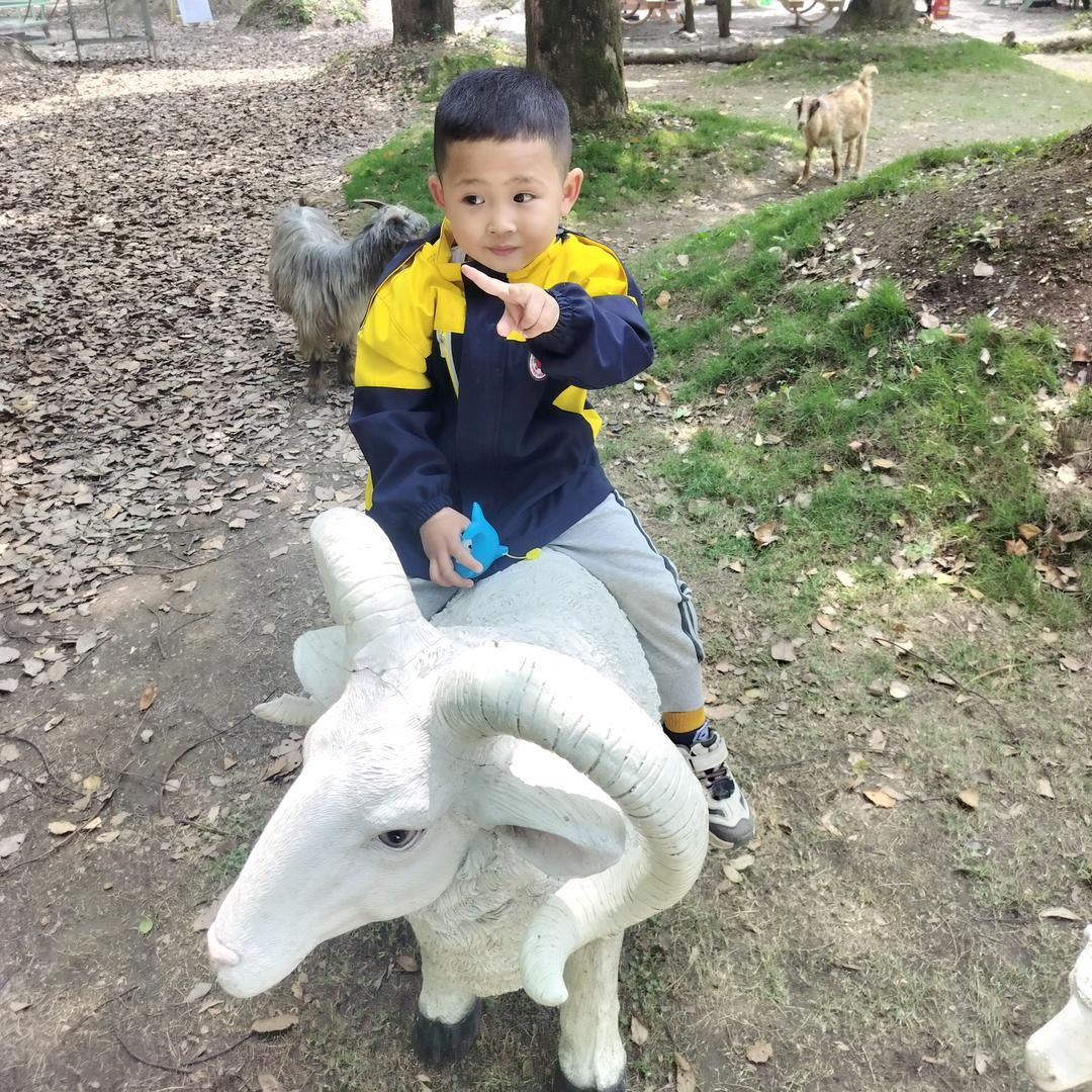如此安好