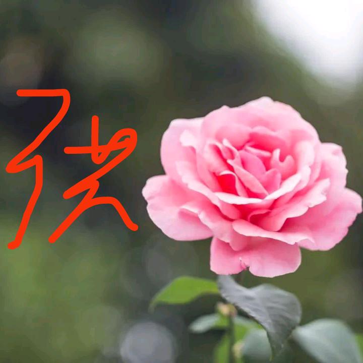 人海相逢真诚对待。
