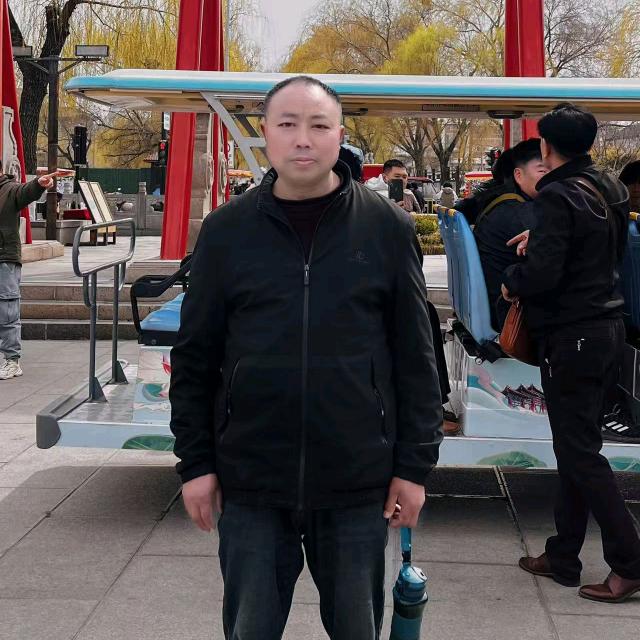 奋斗的小鸟