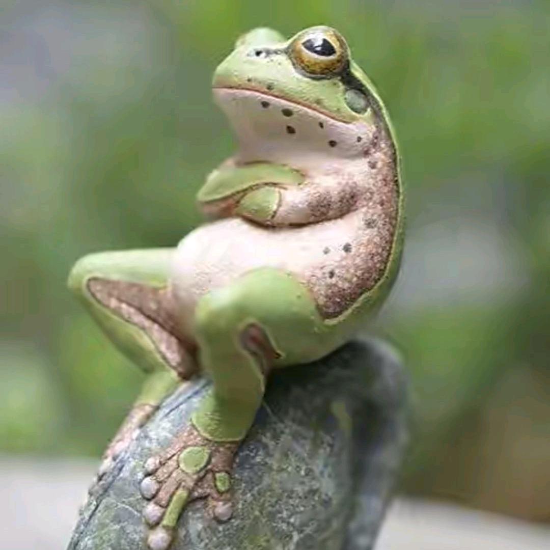 蛙蛙鸡