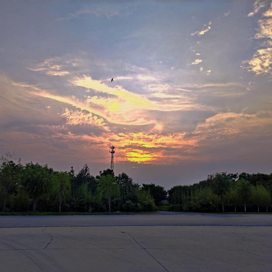 常
