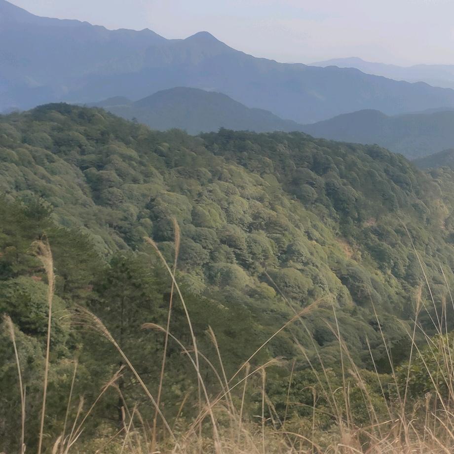 深情败给了时间