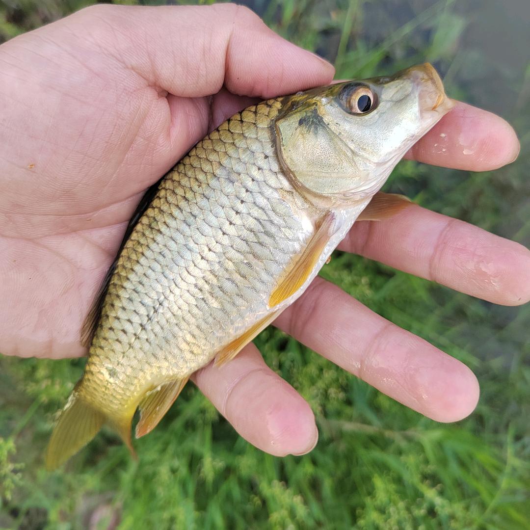 权语矿务，木业发展