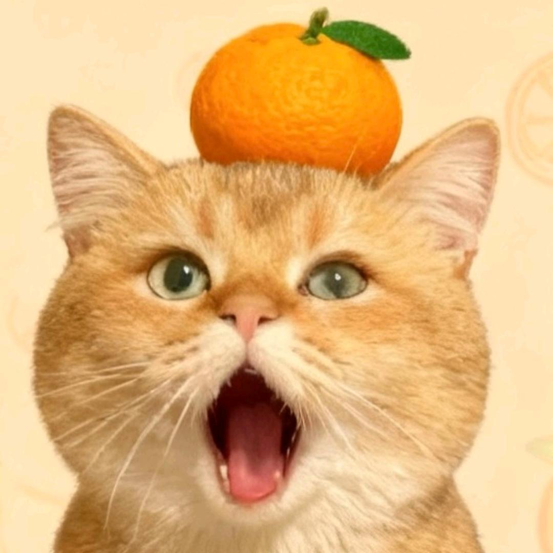 秋秋秋天结束了