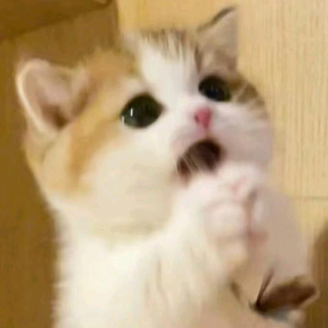 不懂起名