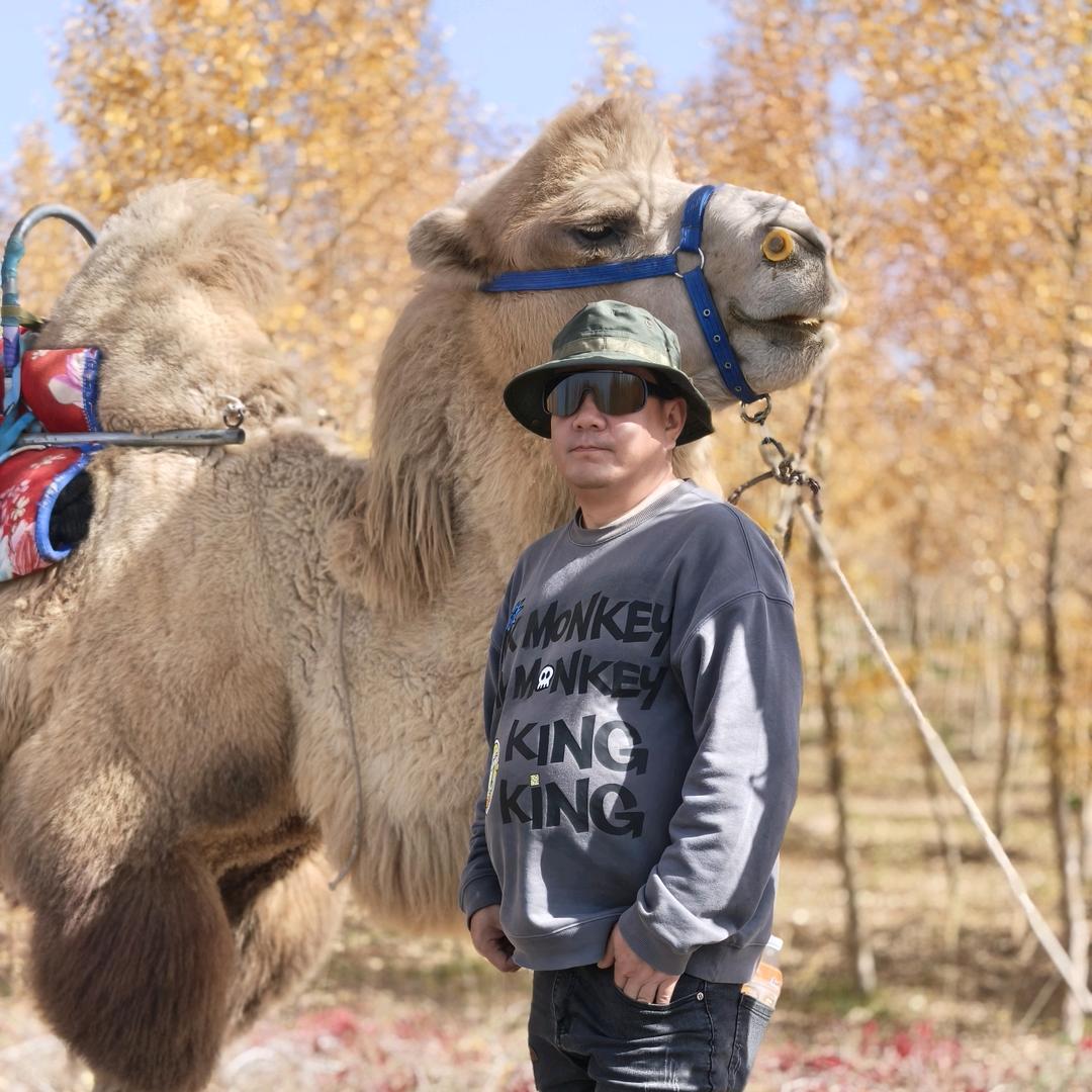 马铁头（东天山来的骆驼队）