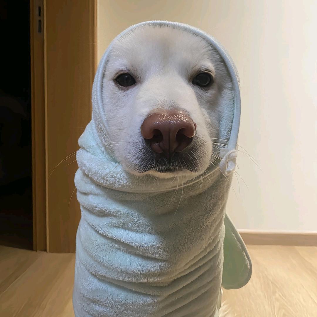 浮现