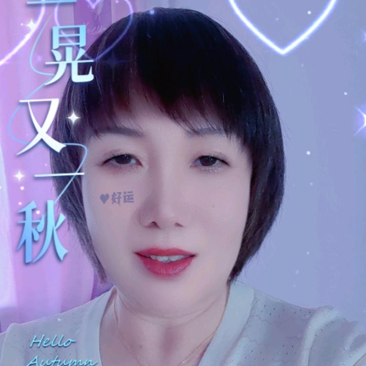 单身情歌