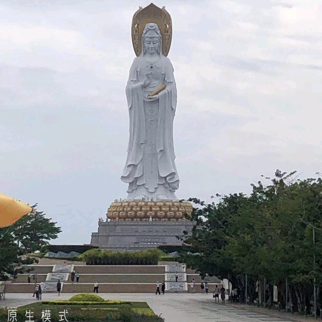 只看热闹