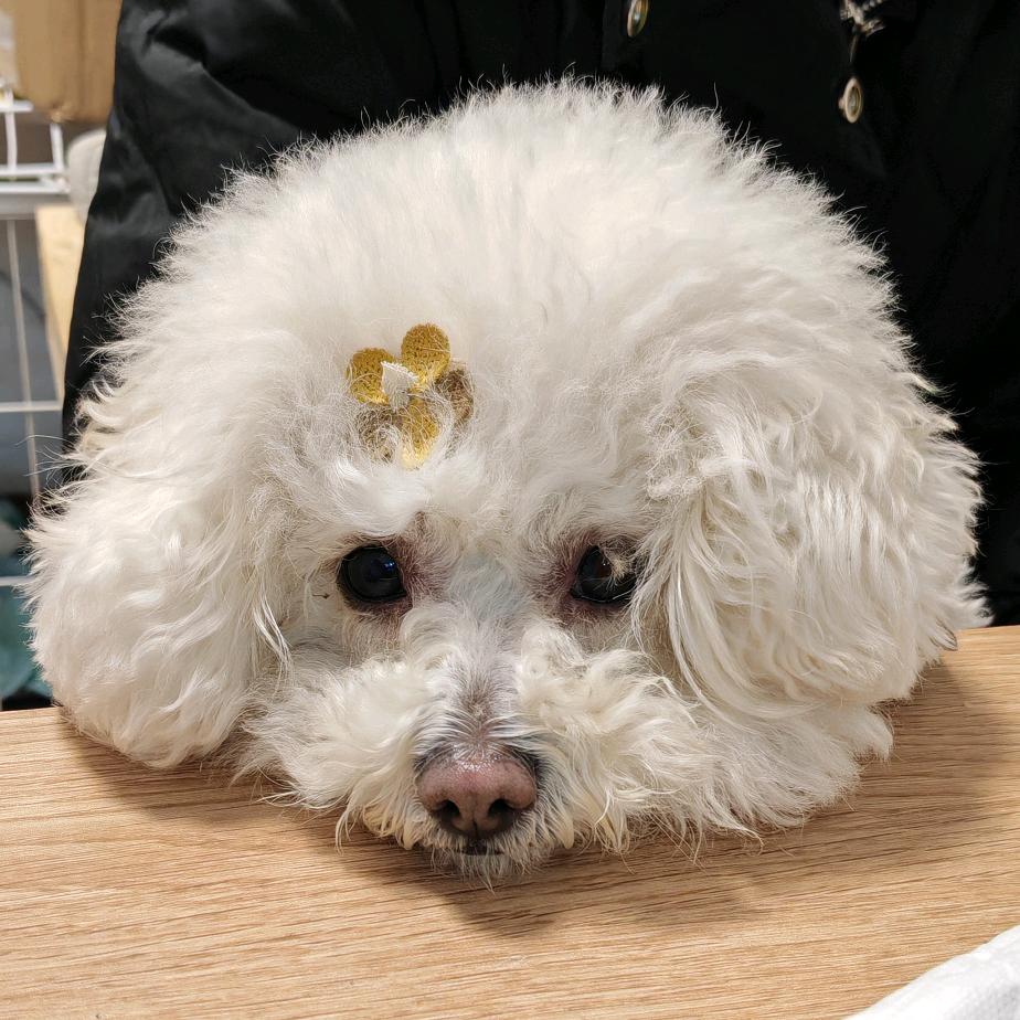 哈尼哈尼优选