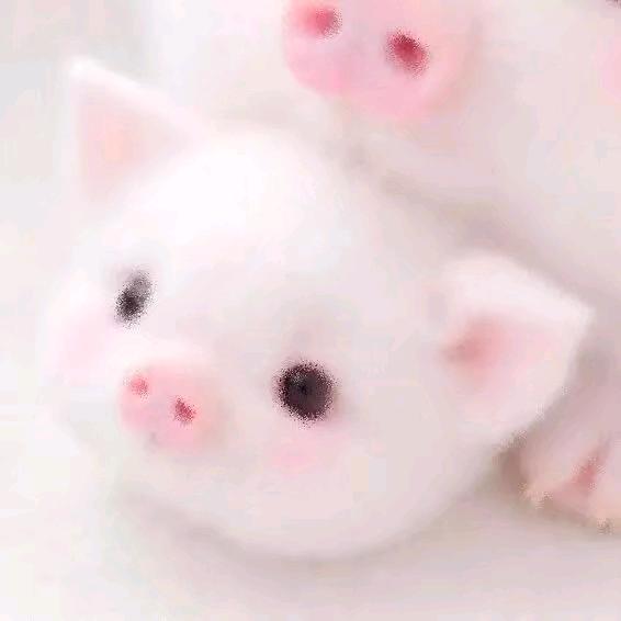 觉什么