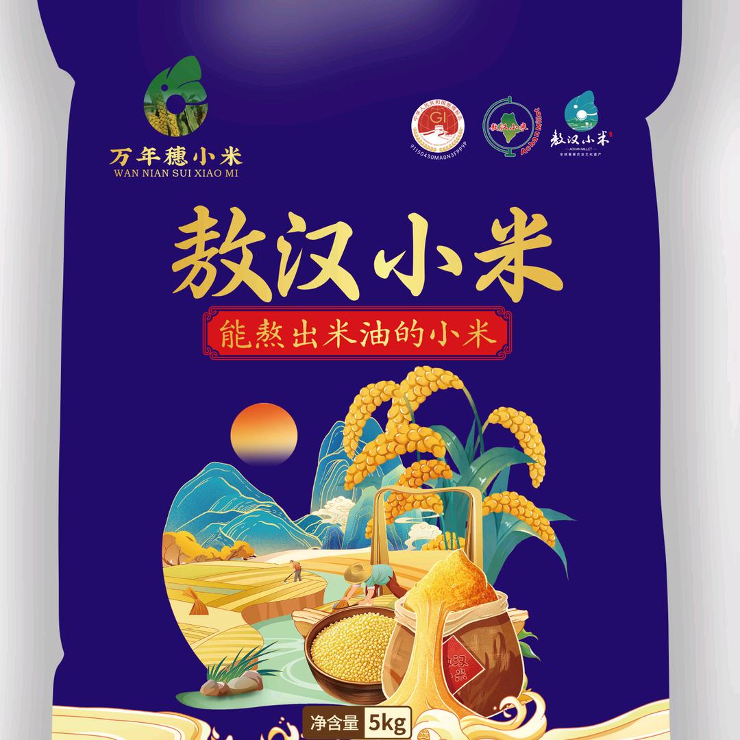 敖汉万年穗小米