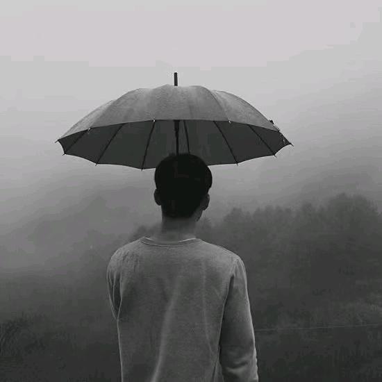 莎草衣.君