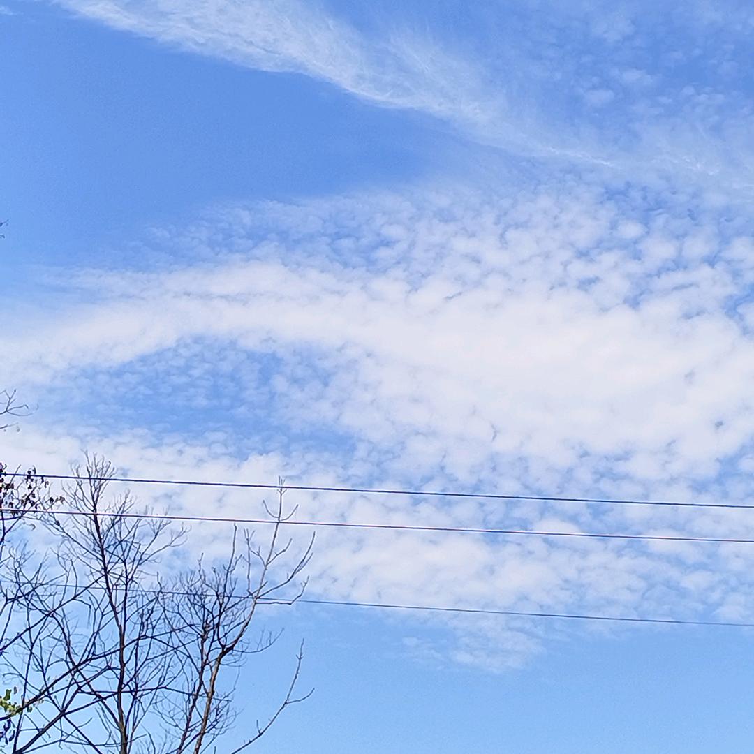 青岛冰糖葫芦
