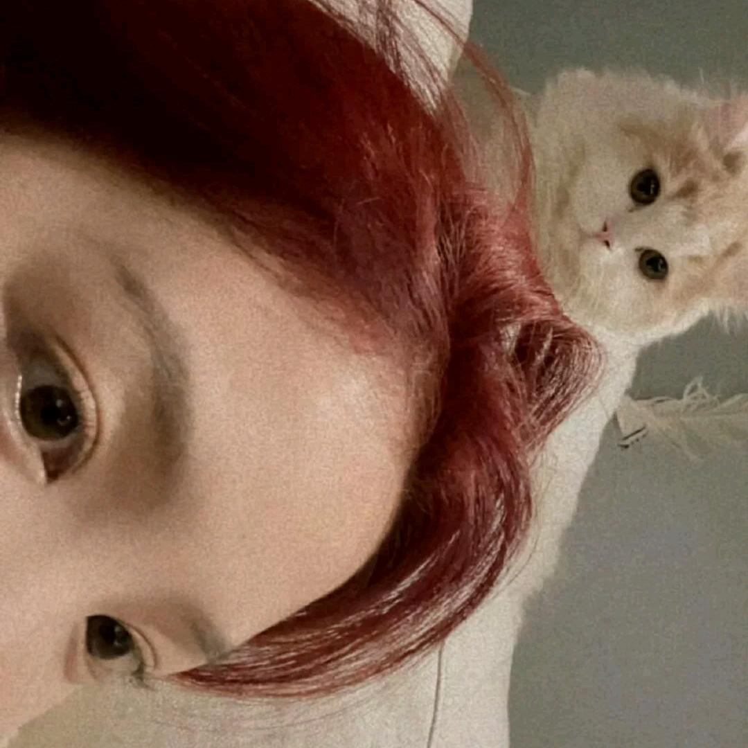意大利面拌四十二号混凝土