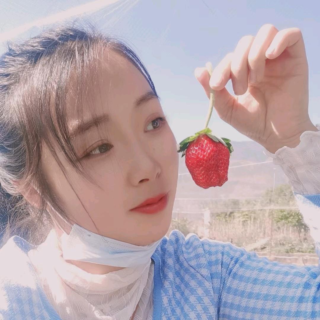 @养蚕的燕子