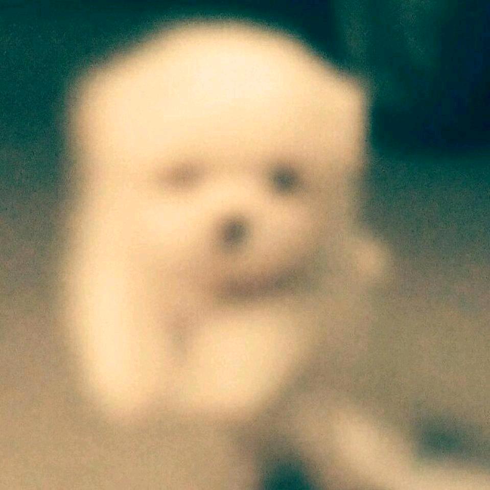 风卷残云1