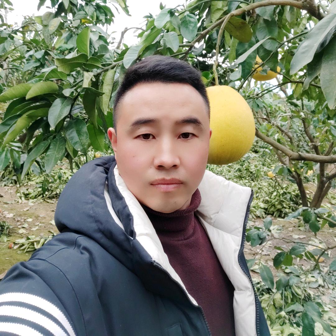 省悟