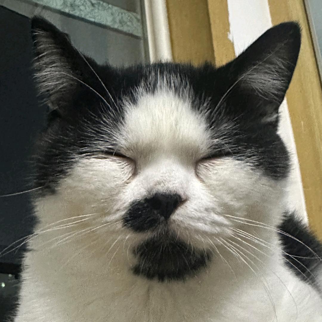 爱爱爱吃炸鸡（三角洲行动）